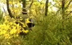 Chasse au sanglier en France