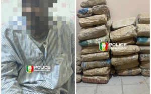 Lutte contre le trafic de drogue : La BRS de Kaolack intercepte 55 kg de chanvre indien