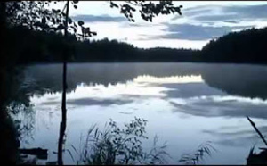 Bizarre, les mystères de l'eau [Documentaire scientifique]