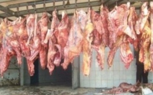 Abattages clandestins – «50% de la viande consommée à Dakar provient de circuits clandestins»