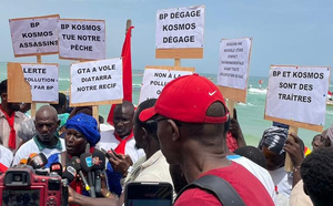Projet gazier GTA : Le PCN de l’OCDE britannique désavoue BP !