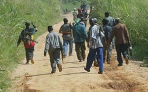 Sédhiou : Attaque à main armée dans un village de la commune de Niaga