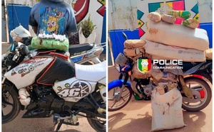 Kolda : 44,1 kg de chanvre indien saisis lors de deux opérations policières