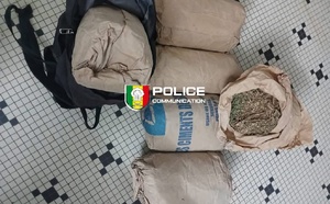 Saisie de 6 kg de chanvre indien sur l'axe Sindian-Bignona