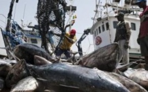 "La pêche illicite non déclarée et non réglementée nous fait perdre 150 milliards par an", selon Oumar Guèye