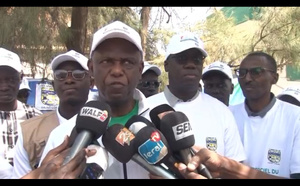 Saint-Louis : Le maire Mansour Faye lance la végétalisation de la commune, avec la plantation de 94 palmiers sur l'avenue Macky Sall