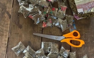 Saraya: Quatre individus arrêtés pour détention et trafic de chanvre indien 