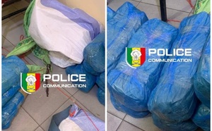 Fatick : Saisie de 23 kg de chanvre indien dans la forêt de Pakala