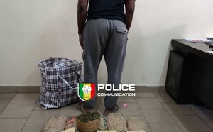 Lutte contre la drogue : 10,5 kg de chanvre indien saisis par la DIC au rond-point JVC