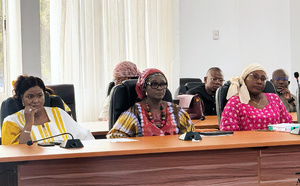 Modification de l’article 319 du Code pénal : Un projet de loi adopté en commission technique