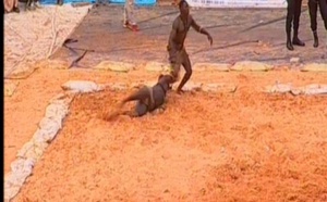 Vidéo: Pape Boy Djiné battu pour la 2ème fois. Regardez