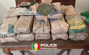 Saisie de 23 kg de chanvre indien par le Commissariat urbain de Saly