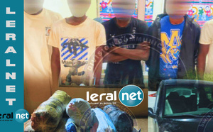 Mbour: Plus de 800 kg de chanvre indien saisis, un réseau structuré démantelé