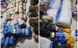 Lutte contre le narcotrafic : Saisie de 108 kg de chanvre indien par la BRS de Dakar, à Niacoulrab