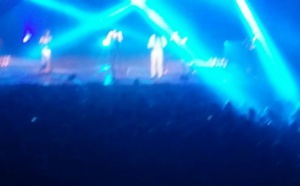 Concert de Fada Freddy : Le Zénith de Paris plein à craquer