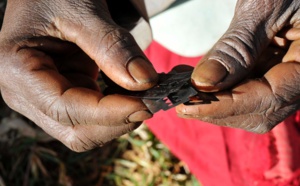 140 millions de femmes sont excisées à travers le monde, selon la présidente du réseau des femmes parlementaires de la Mauritanie