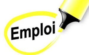 Leral/job: Une jeune diplômée en management cherche  emploi