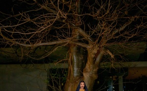 Henné Time : Kiné Ndiaye Rose éblouit dans une robe somptueuse