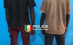 Cambriolages de véhicules : un duo spécialisé arrêté à Jaxaay