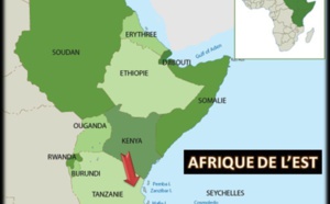 Perspectives économiques en Afriques en 2016 : L’Afrique de l’Est tient le haut du pavé