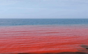 Algérie : mystère autour d’une plage dont les eaux ont viré au rouge à Ain Benian