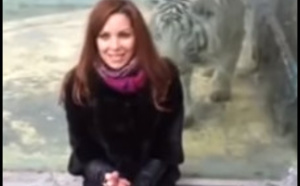 L’attaque ratée d’un tigre blanc qui s’écrase contre ...