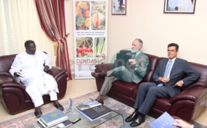 Création de fermes agricoles "Natangués" : "30 000 emplois seront créés en milieu rural d'ici à 2017", selon Dr Papa Abdoulaye Seck 