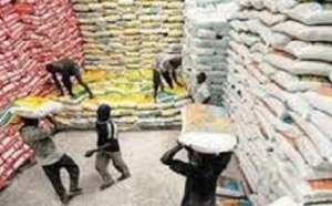 Importation : AfricaRice met en garde contre le riz importé