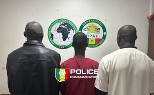 Escroquerie au visa et faux monnayage : démantèlement d’un réseau criminel à Dakar