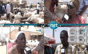 Louga : ventes timides au foirail à la veille de la Tabaski