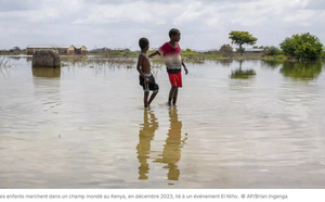 Climat: l'ONU juge «probable à 80%» un épisode El Niño «intense» cet été