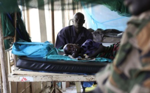 Traitement Antipaludéen : Novartis se ligue avec Medicines for Malaria Venture