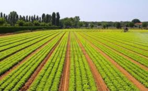 Enquête nationale sur les métiers dans le secteur agricole et rural : Les entreprises priées de collaborer