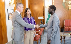 Audience au Palais : Damen Shipyards présente ses projets d’investissement au Sénégal