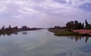 Non à la mort programmée du fleuve Sénégal et de ses affluents - Par Dr Ousmane Aly Pame