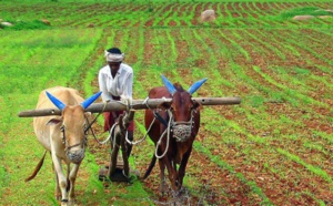 Projet écovillages : Le modèle sénégalais inspire le Burkina Faso