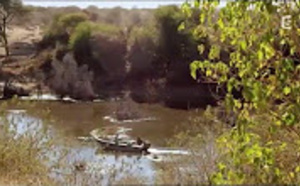 La science grandeur nature - Documentaire 2016