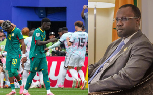 Élimination des Lions au Mondial 2026 : une mission d’audit parlementaire envisagée sur la gestion de la FSF