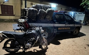 Trafic de drogue : la Gendarmerie intercepte 360 kg de chanvre indien à Joal