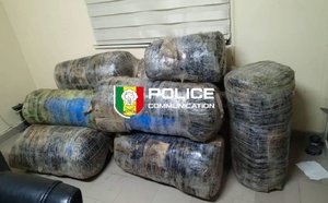 Guéréo : la Police saisit près de 245 kg de chanvre indien