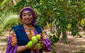 FAO : Bintia Stephen Tchicaya alerte sur les difficultés d’accès des agricultrices à la terre au Sénégal