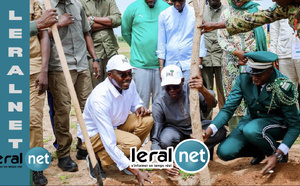 Reboisement : à Darou Salam, le gouvernement mise sur la responsabilité des communautés