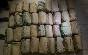 Trafic de drogue : la BRS de Dakar saisit 180,5 kg de chanvre indien et interpelle deux suspects