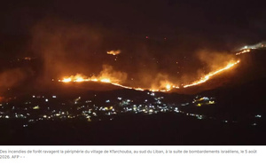 Le sud du Liban ravagé par les feux de forêts, Israël accusé d'incendies volontaires