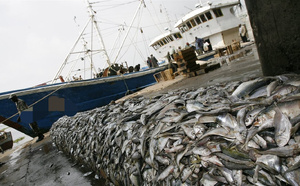 Licences de pêche industrielle : le Parlement sénégalais lance une enquête sur leur attribution