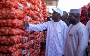 Oignon : le Sénégal rouvre ses portes aux importations après plusieurs mois de gel