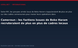 Cameroun : les factions issues de Boko Haram recruteraient de plus en plus de cadres locaux