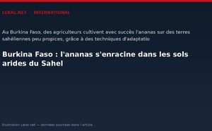 Burkina Faso : l'ananas s'enracine dans les sols arides du Sahel