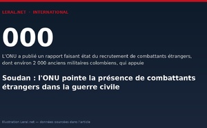 Soudan : l'ONU pointe la présence de combattants étrangers dans la guerre civile