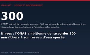 Niayes : l'ONAS ambitionne de raccorder 300 maraîchers à son réseau d'eau épurée